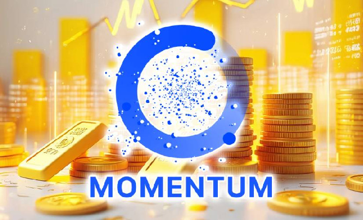 Momentum привлек $10 млн на развитие платформы