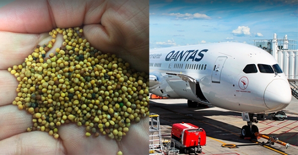В США самолет заправленный биотопливом из горчицы выполнил 15 часовой полет без посадки