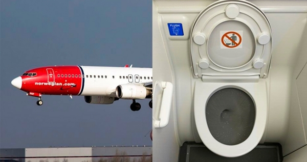 Самолет с 85 сантехниками на борту совершил вынужденную посадку из-за сломанного туалета