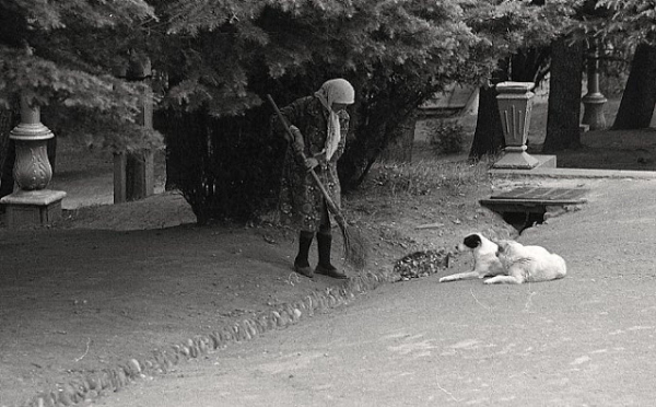 Повседневная жизнь советской Грузии в 1976 году, снятая шведским фотографом