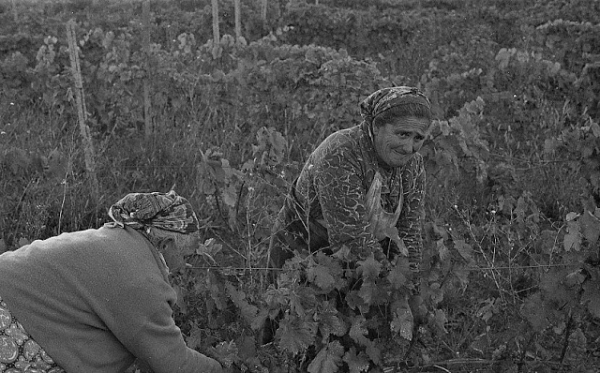 Повседневная жизнь советской Грузии в 1976 году, снятая шведским фотографом