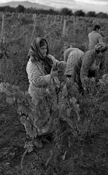 Повседневная жизнь советской Грузии в 1976 году, снятая шведским фотографом