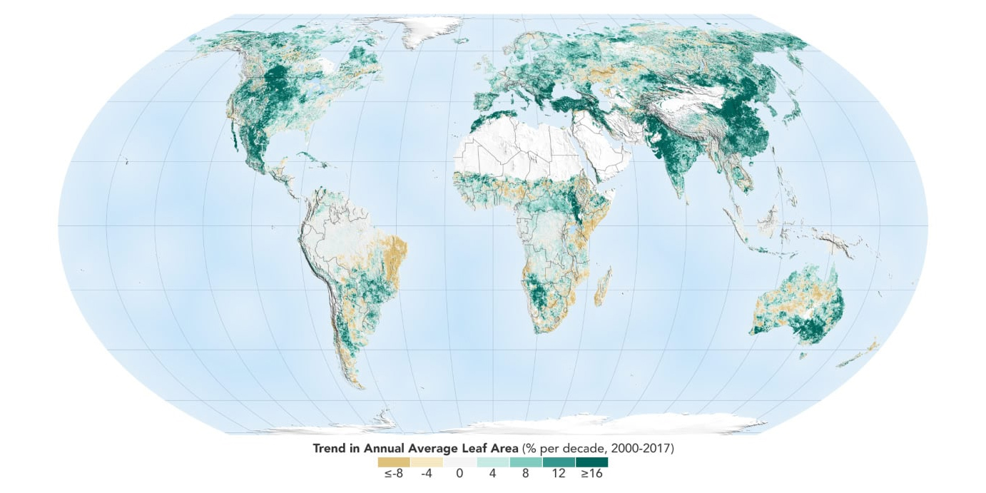 Учёные предсказали рекордное озеленение Земли в XXI веке