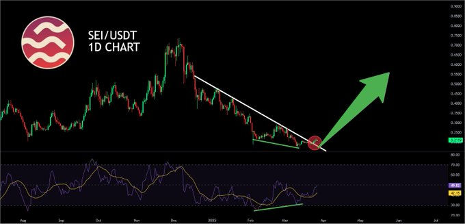 Sei Foundation планирует приобрести 23andMe для защиты генетических данных