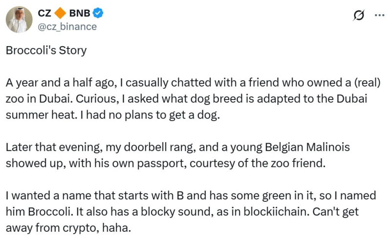 BNB Chain перехватывает активность мемкоинов на фоне спада Solana