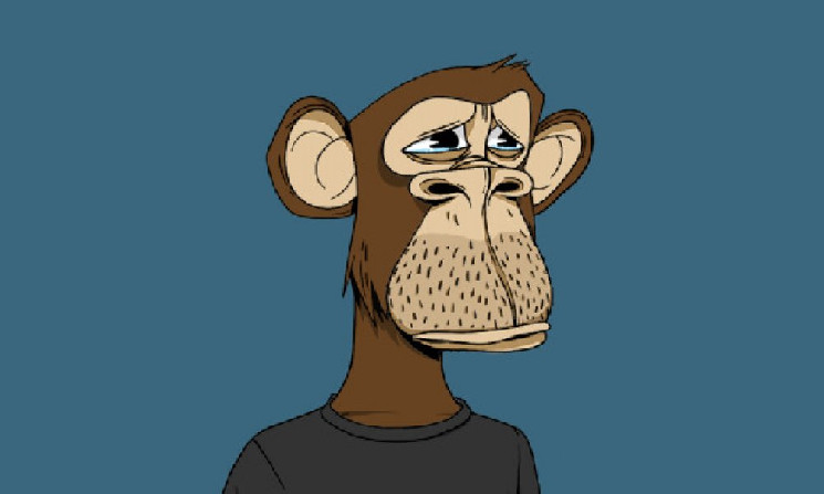 Почему компания, продвигающая ETF на XRP, оптимистично настроена в отношении вывода NFT на Уолл-стрит