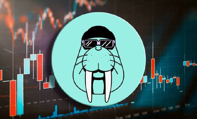 Walrus привлек $140 млн от Standard Crypto