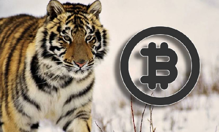 На всех миллионеров мира не хватит BTC