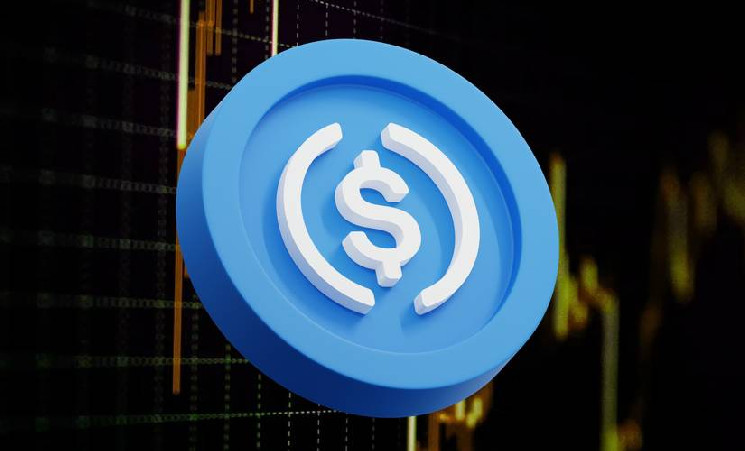 USDC увеличил капитализацию несмотря на падение доли рынка