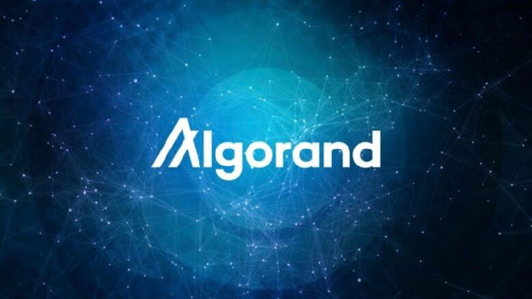 Algorand TypeScript: Новая эра разработки смарт-контрактов