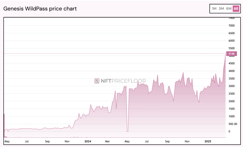 Wildcard переводит NFT из Polygon в Ethereum