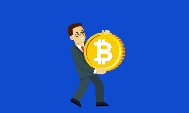 Hive удваивает ставку на BTC HODL на фоне размывания капитала майнеров и зависимости от долга